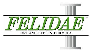 Felidae