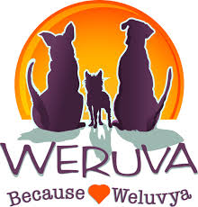 Weruva